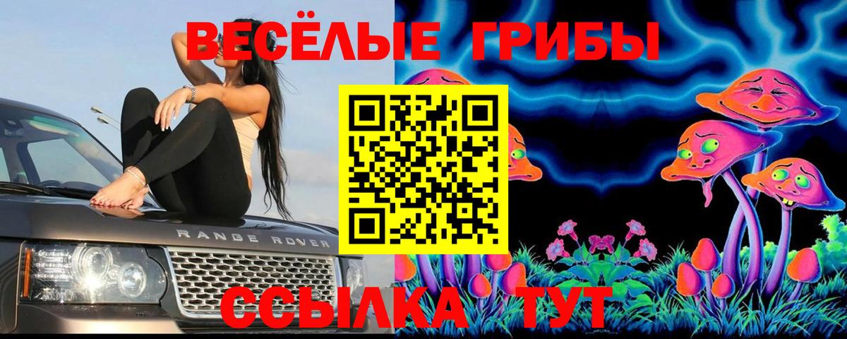 Псилоцибиновые грибы мухоморы Шебекино
