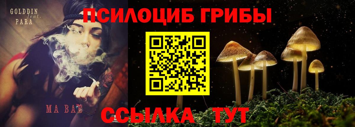 Шебекино  как найти закладки  Вход с VPN  Псилоцибиновые грибы MAGIC MUSHROOMS 